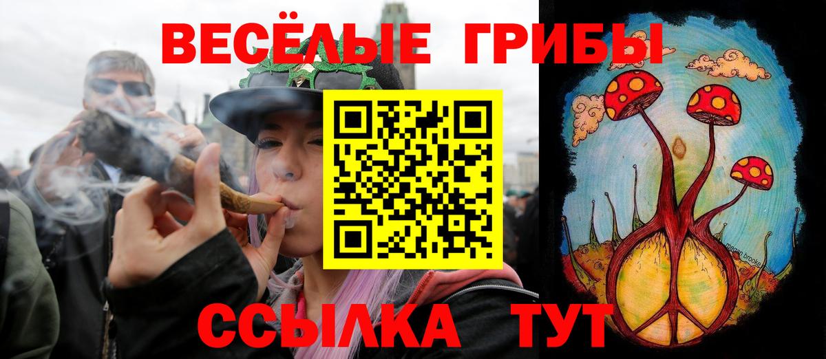Астрахань  Псилоцибиновые грибы мицелий  Псилоцибиновые грибы мухоморы  Вход с VPN 