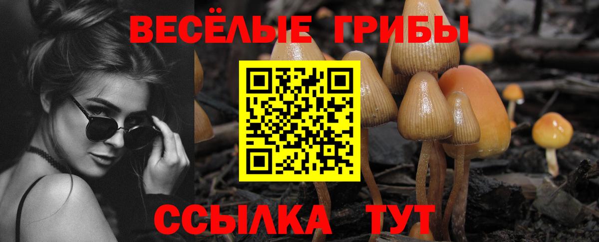 Галлюциногенные грибы прущие грибы Астрахань